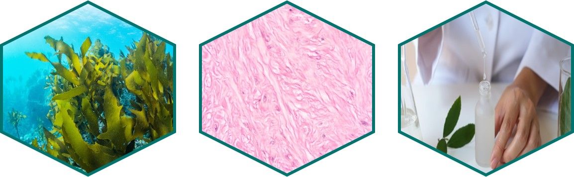 Vorteile der Rosenkollagen-Gesichtsmaske